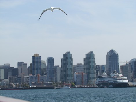 San Diego, California Jonathan over the city