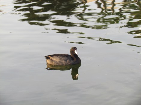 Long Beach, California