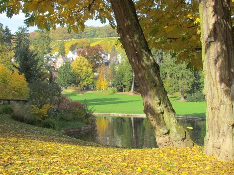 Autumn in Wiesbaden, Germany