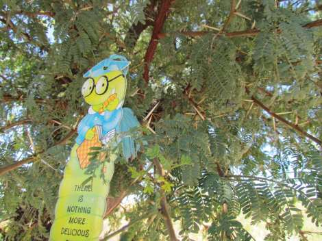 Hartbeespoort Dam and Magaliesberg, South Africa