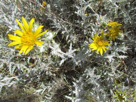 Hartbeespoort Dam and Magaliesberg, South Africa