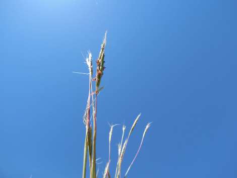 Hartbeespoort Dam and Magaliesberg, South Africa