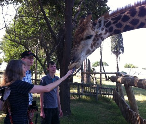 Patting lions and licked by a giraffe in South Africa