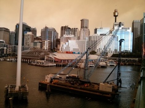 A closer look at the crane on the water