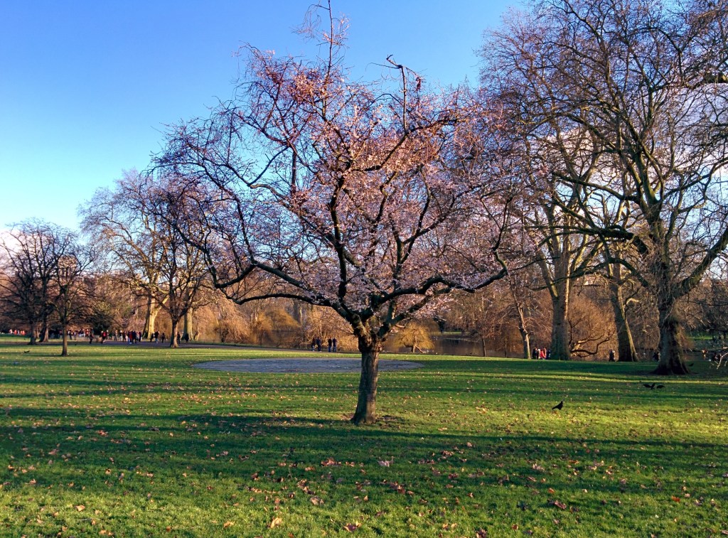 The posh end of London