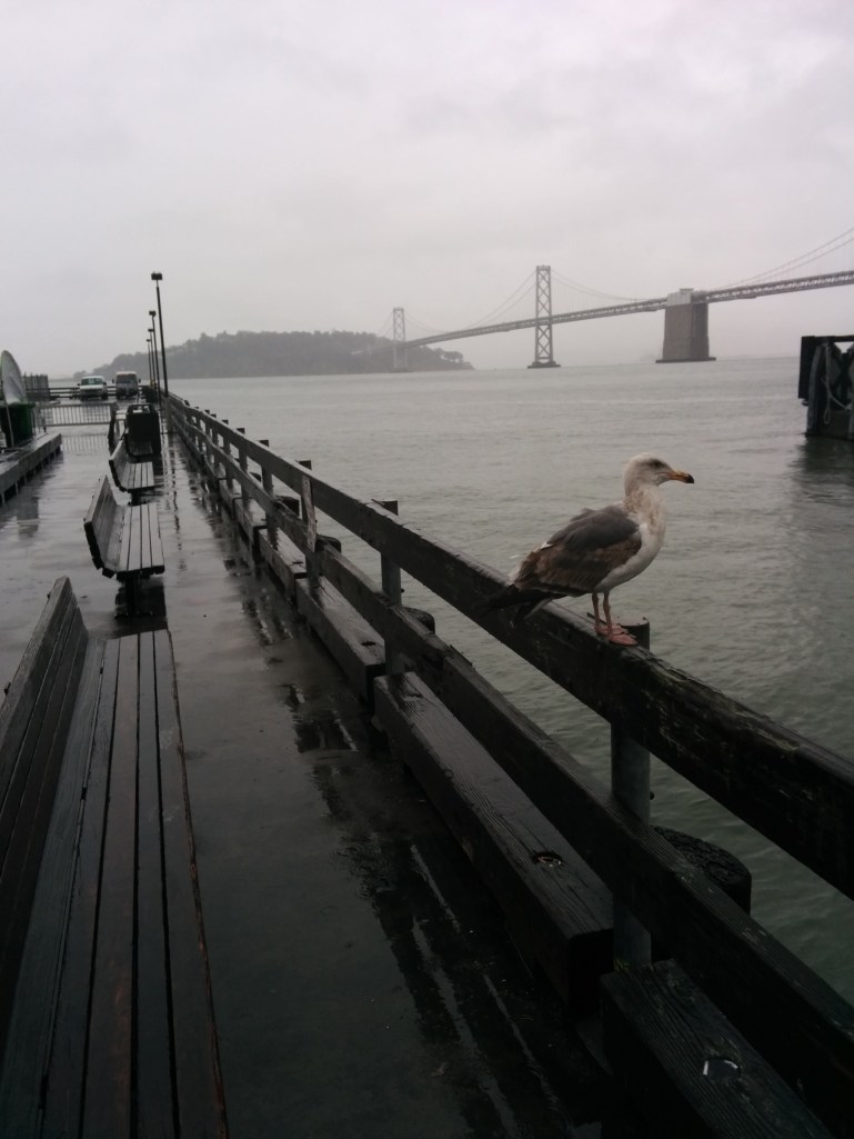 Bay Bridge in the wet