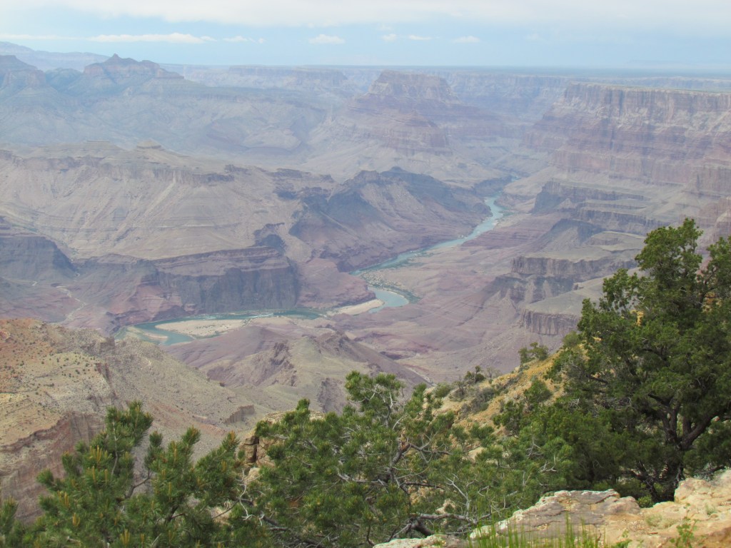Grand Canyon, cactus, and Arizona skies