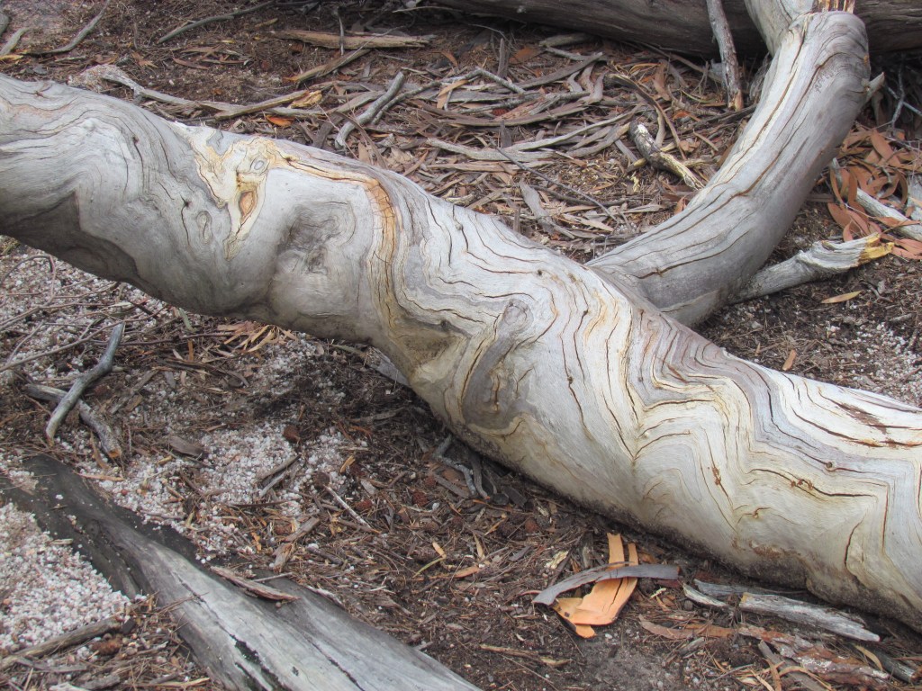 Wine Glass Bay Lookout in Tasmania
