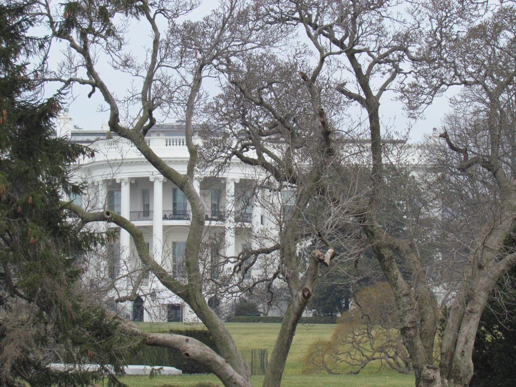 Whitehouse