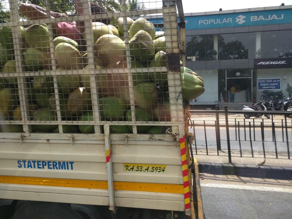 Colour and sound on Indian roads
