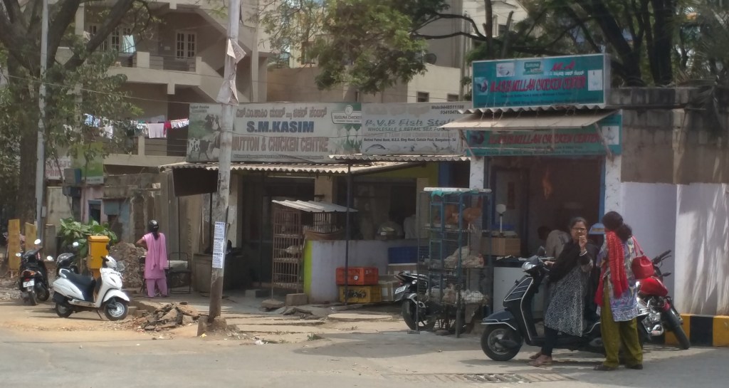 Colour and sound on Indian roads