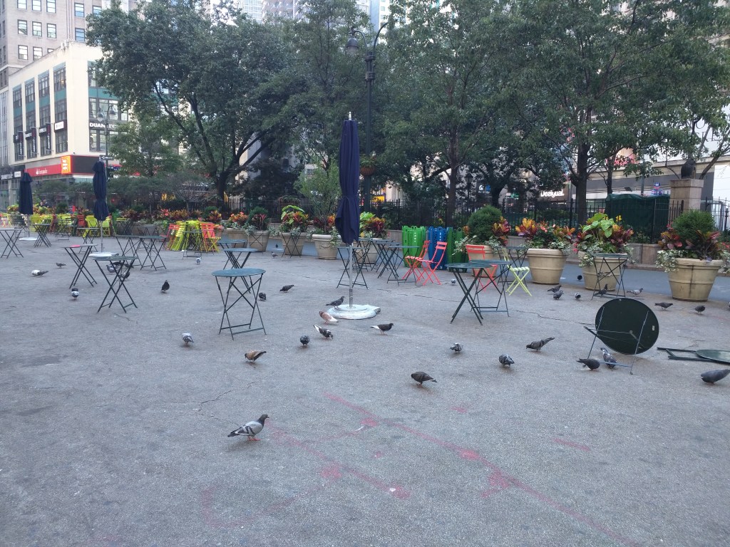 Pigeons and tables on Broadway