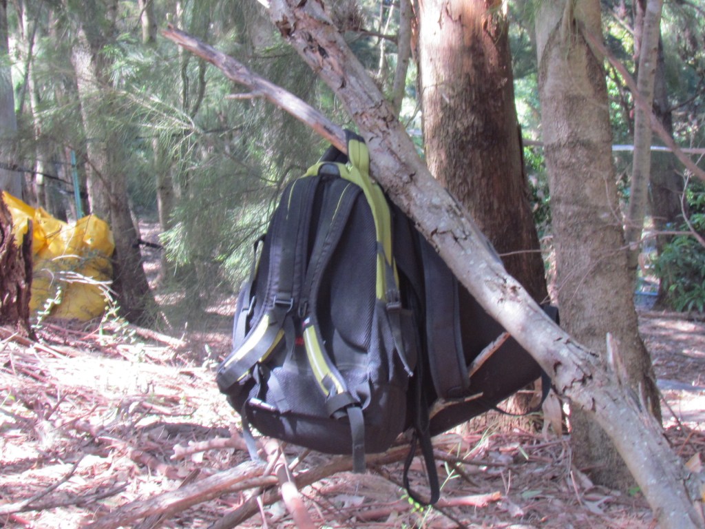 Bush conservation in Sydney Park
