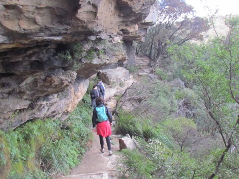 Walk to Wentworth Falls