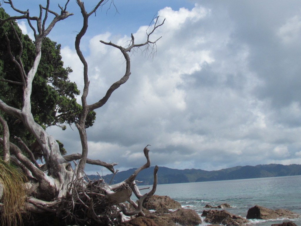 Cathedral Cove, New Zealand