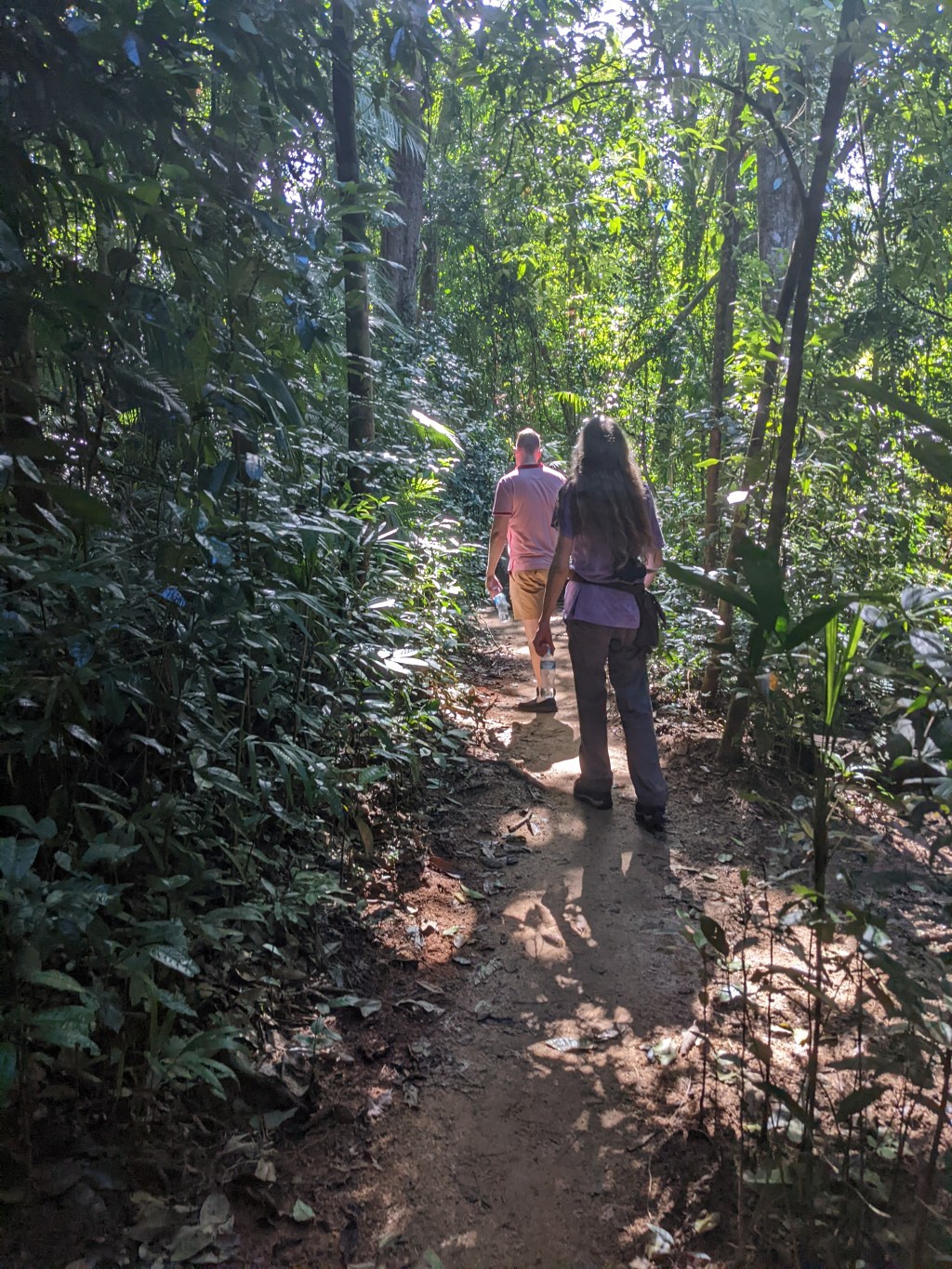 Mossman Gorge and the Daintree&nbsp;Rainforest